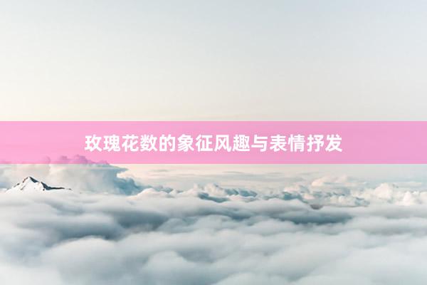 玫瑰花数的象征风趣与表情抒发